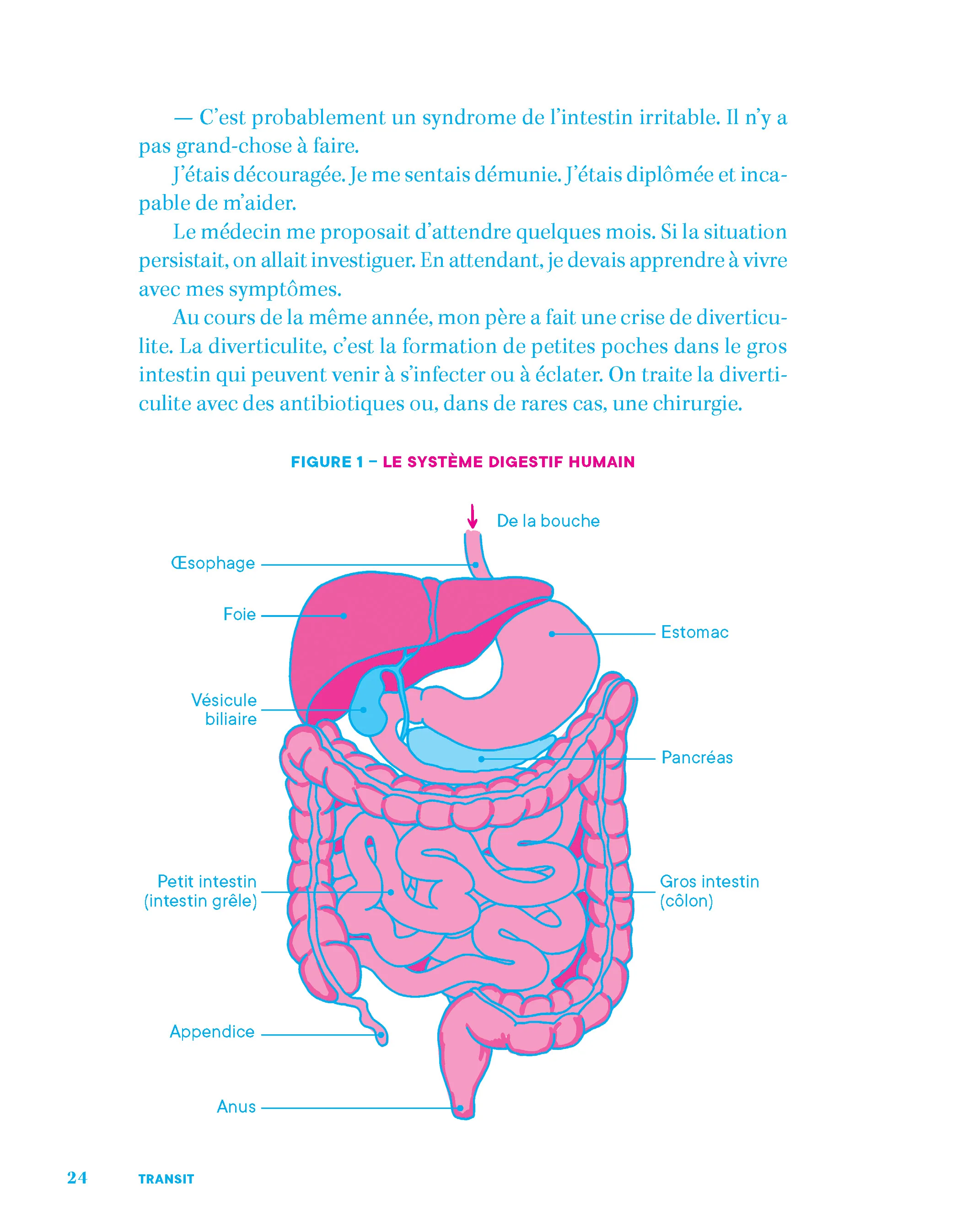 Transit : une meilleure digestion pour une santé optimale - Image 2