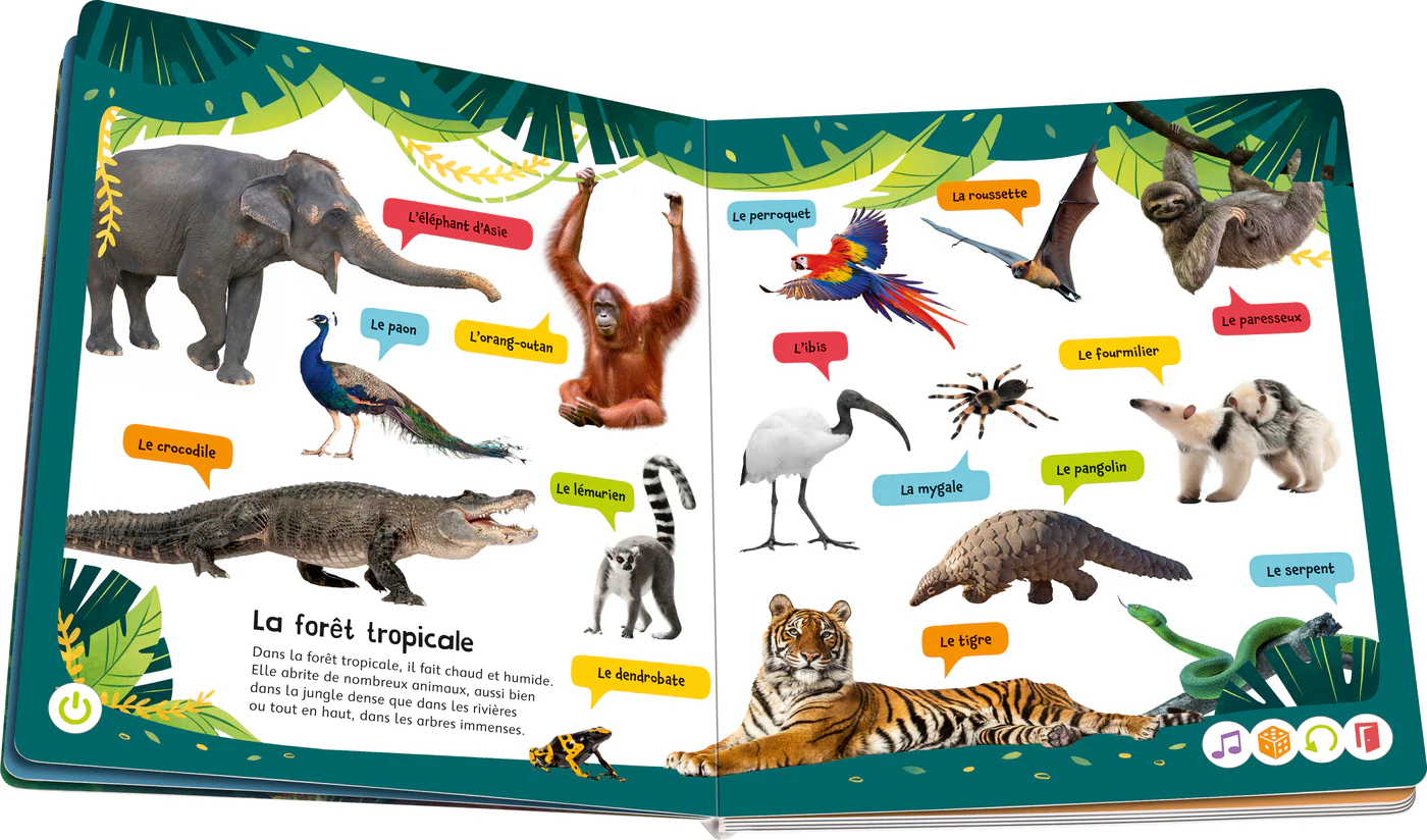 tiptoi® Connais-tu le cri des animaux ? - Image 3