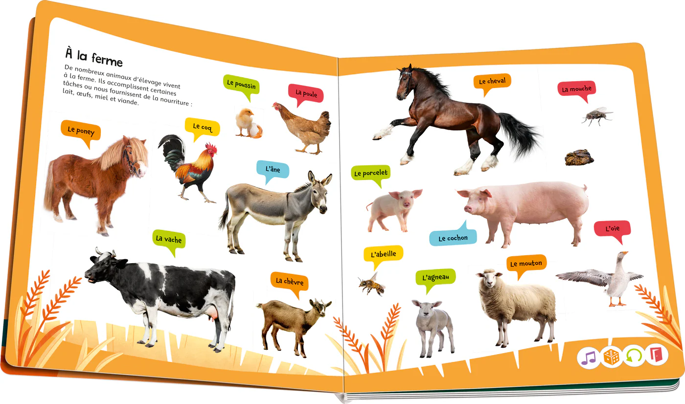 tiptoi® Connais-tu le cri des animaux ? - Image 4