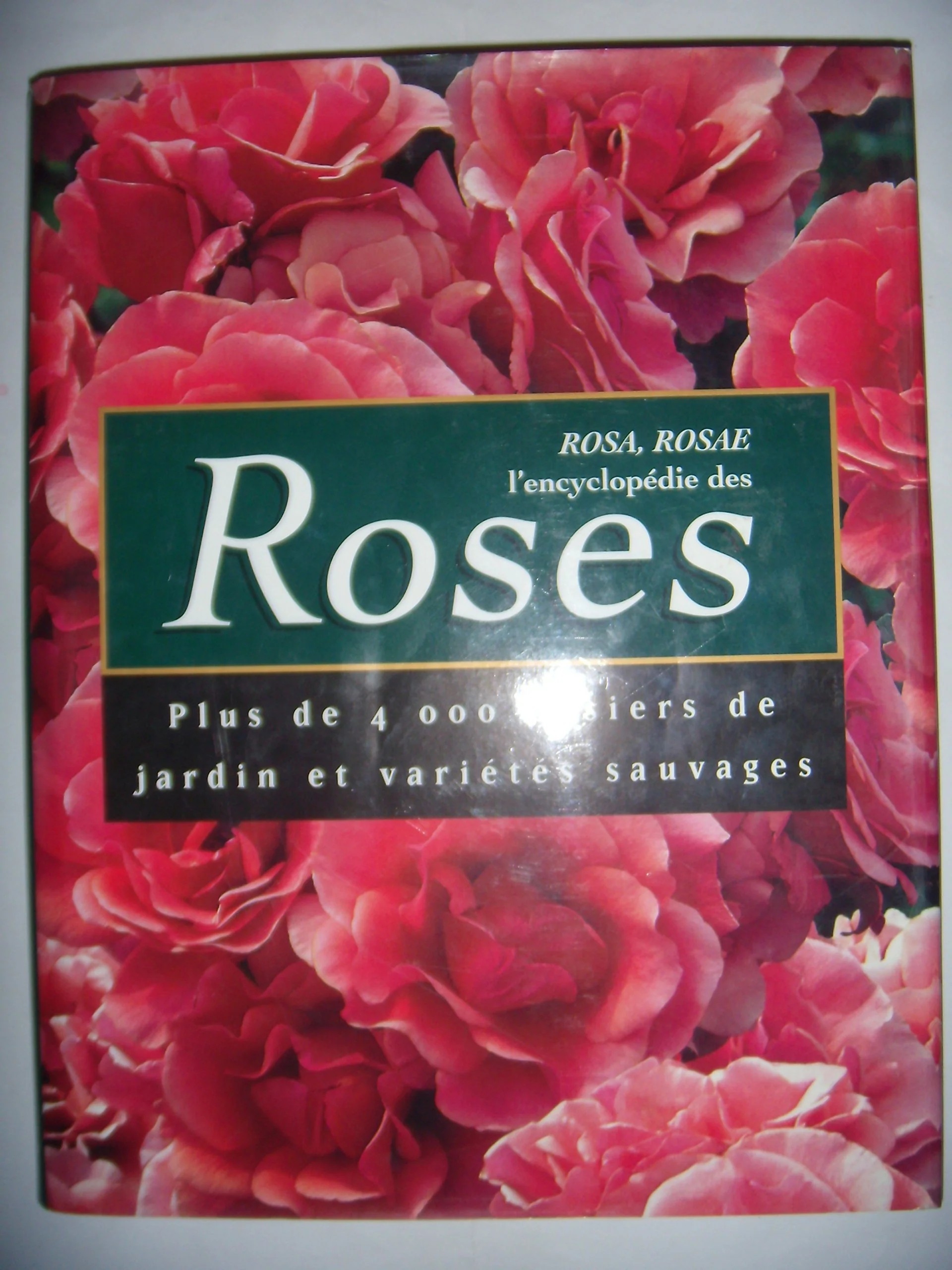 Rosa, Rosae : L'encyclopédie des Roses. Plus de 4.000 rosiers de jardin et variétés sauvages - Image 5