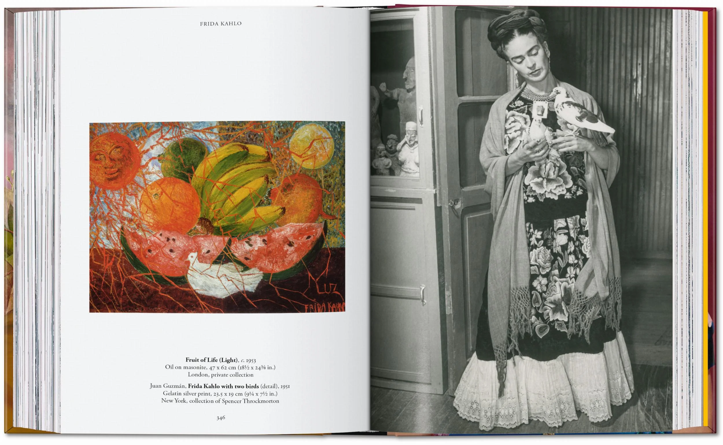 Frida Kahlo - Image 18