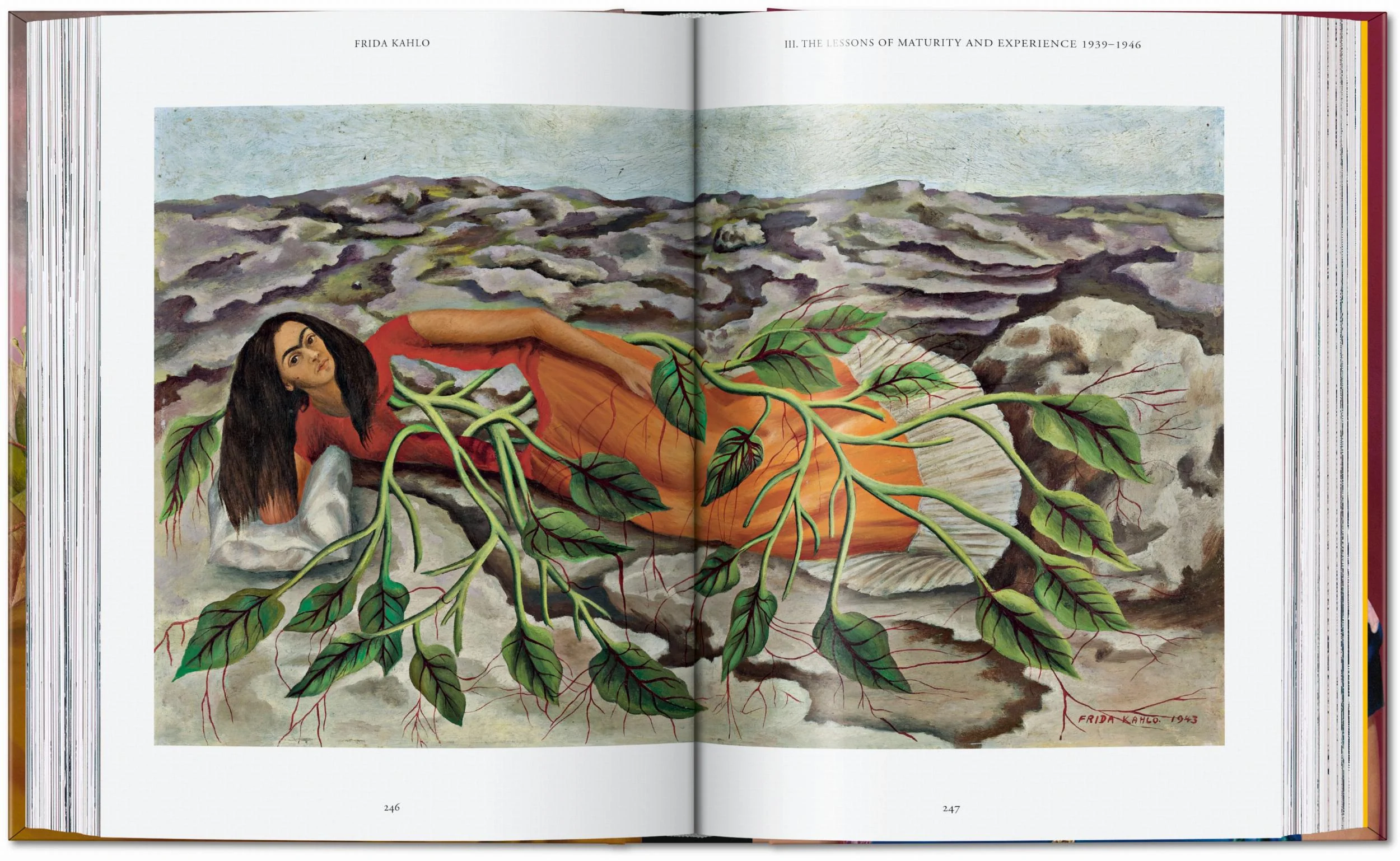 Frida Kahlo - Image 7