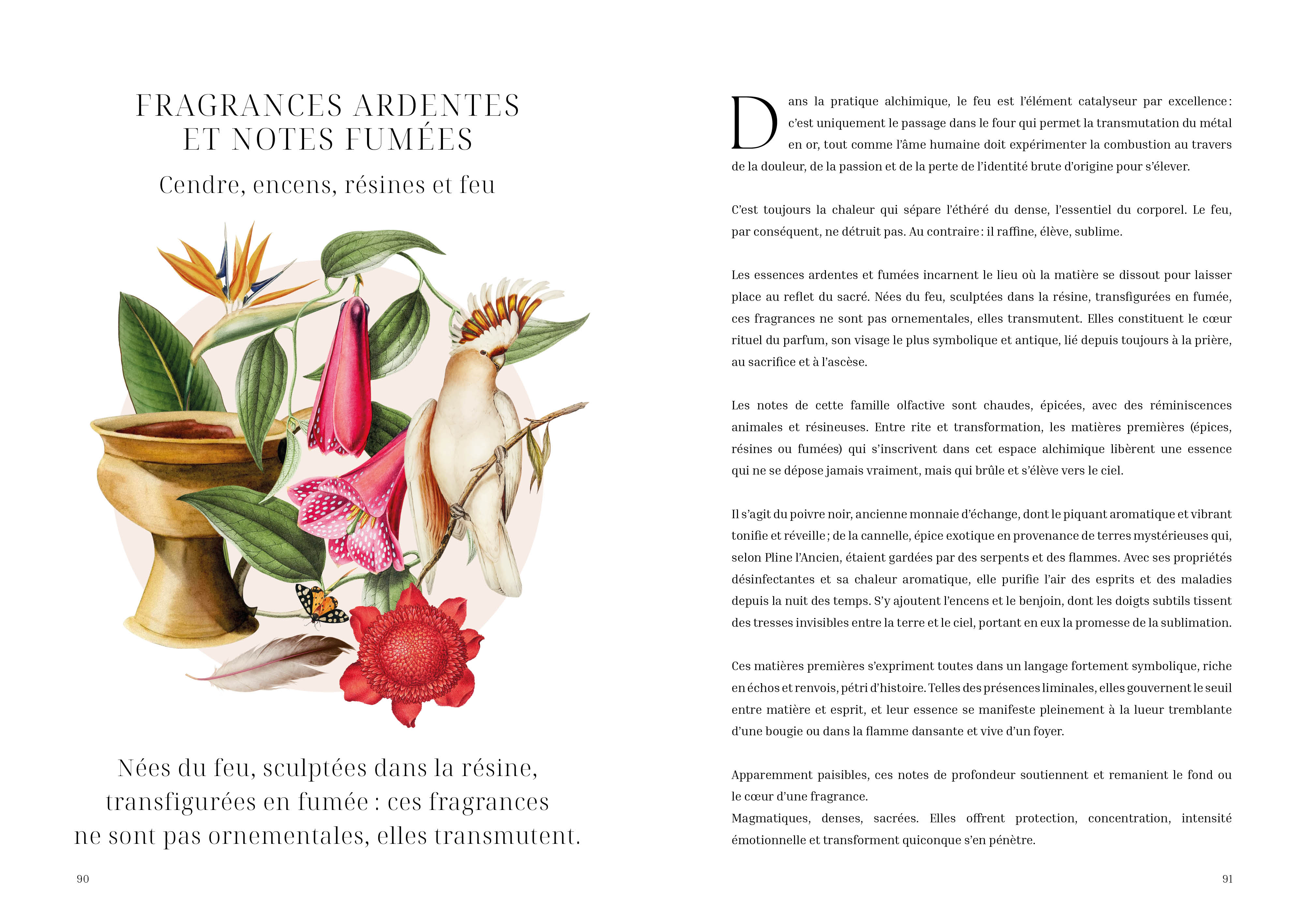 L'herbier des parfums - Image 2