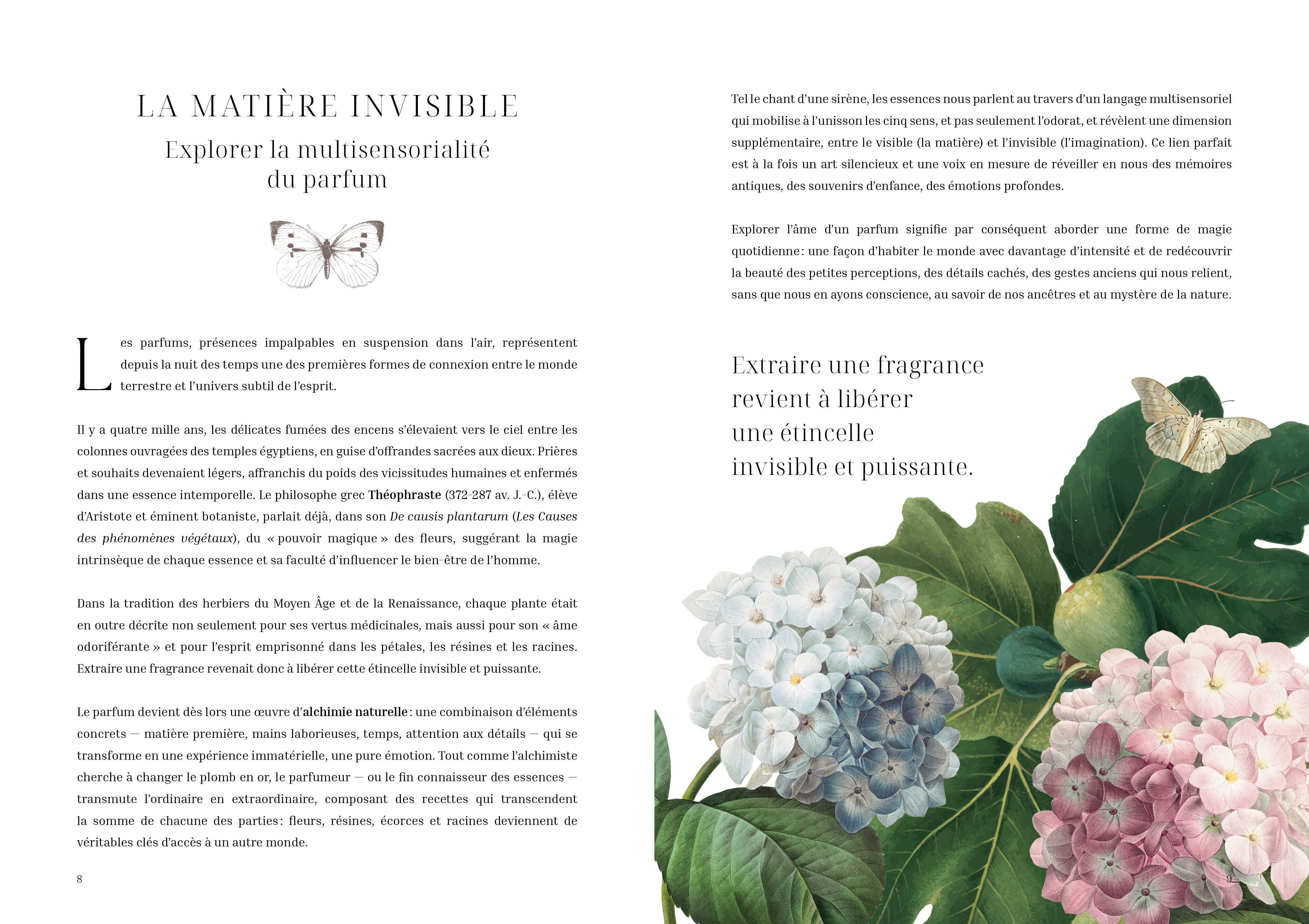 L'herbier des parfums - Image 4