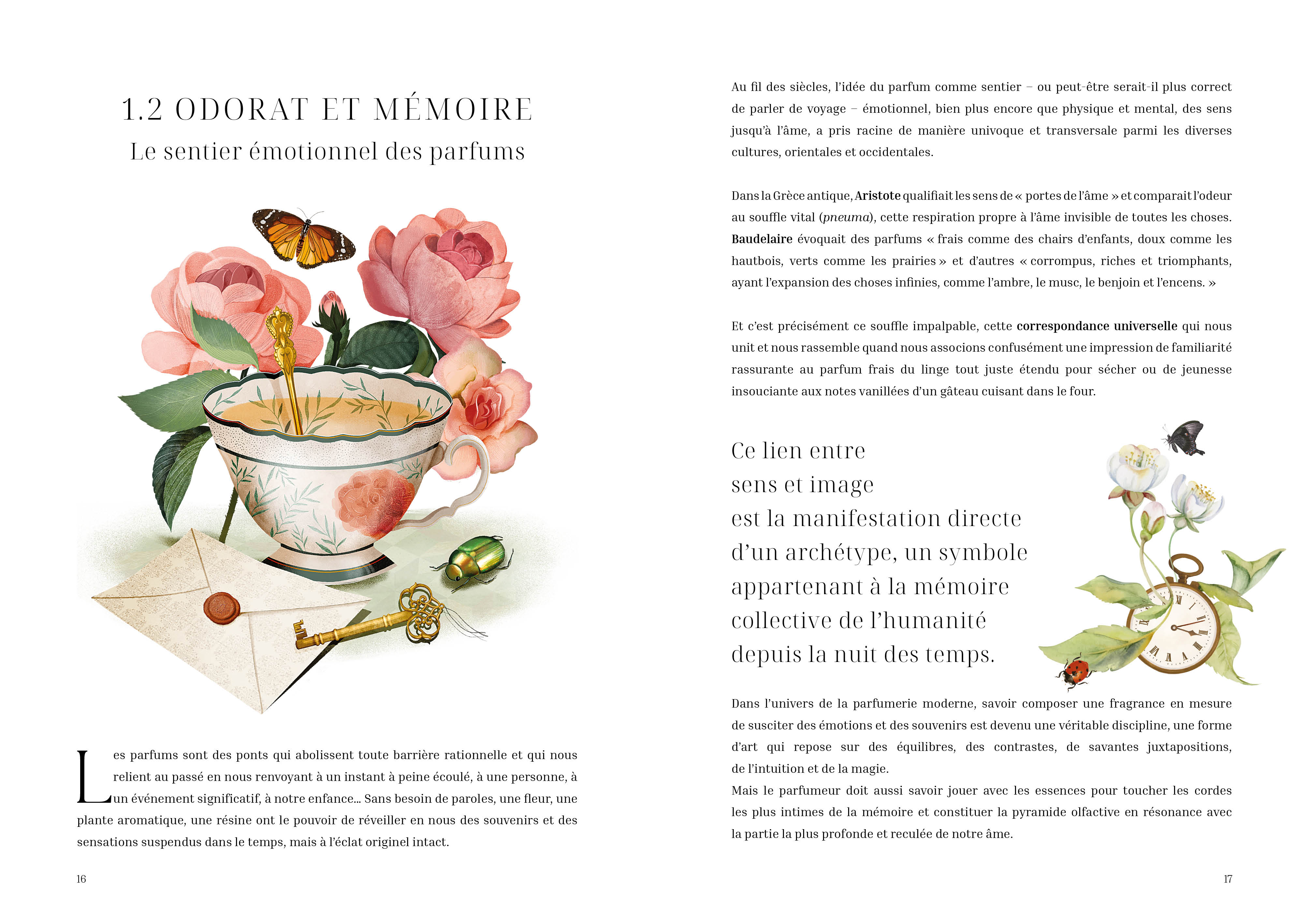 L'herbier des parfums - Image 6