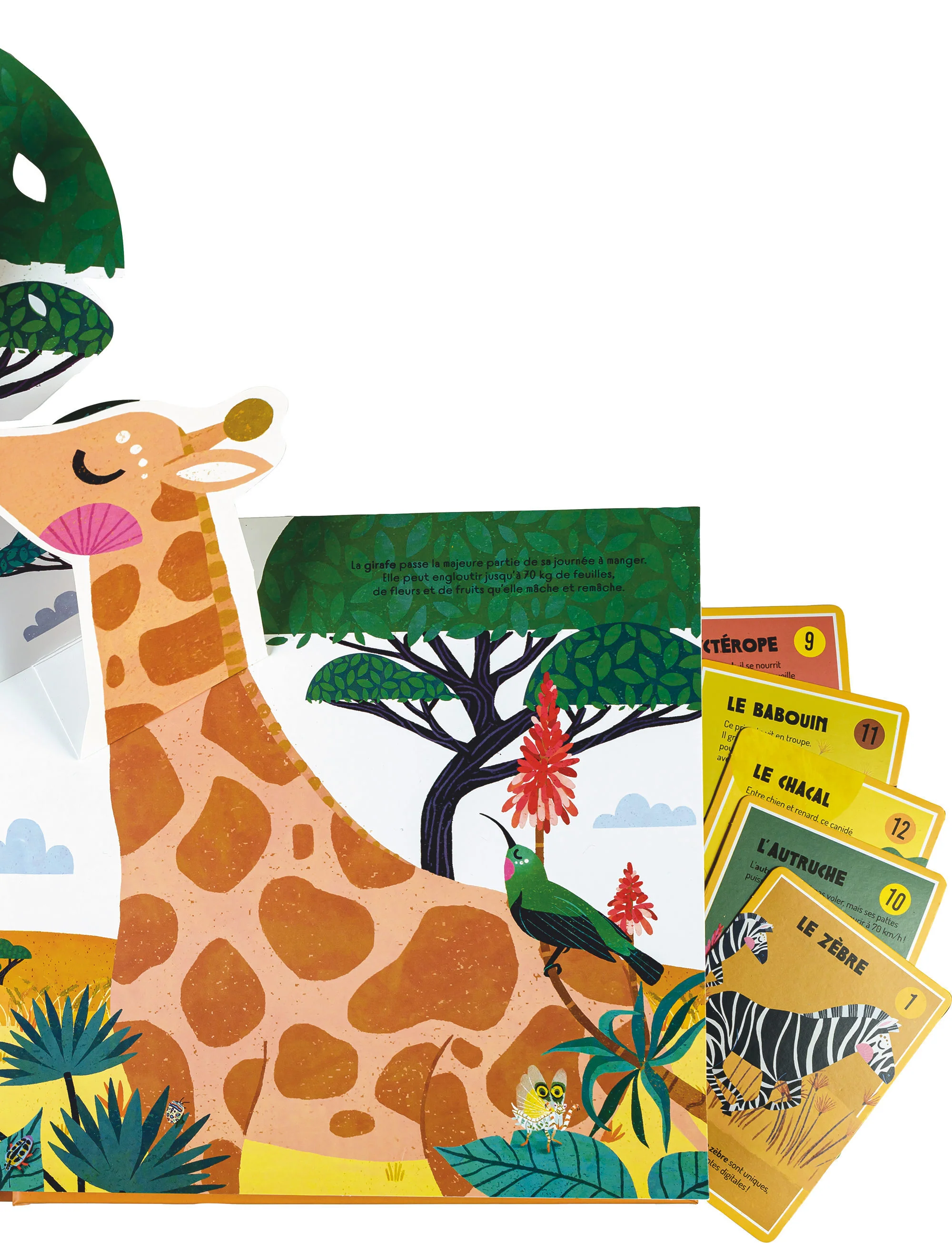 À la découverte de la savane - Un livre pop-up - Image 10
