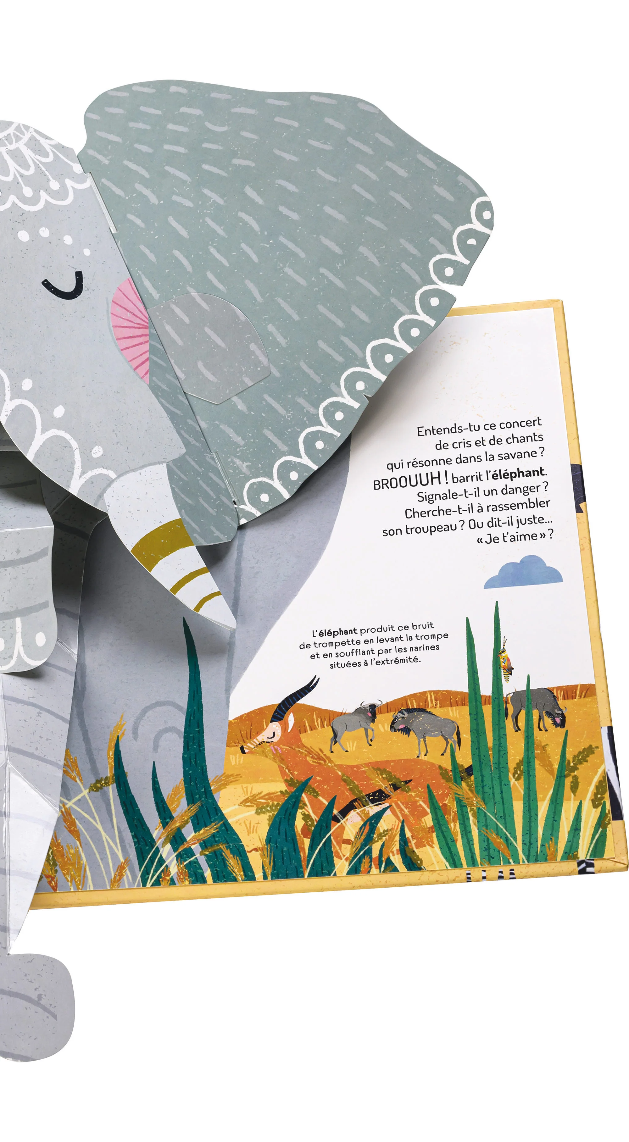 À la découverte de la savane - Un livre pop-up - Image 12