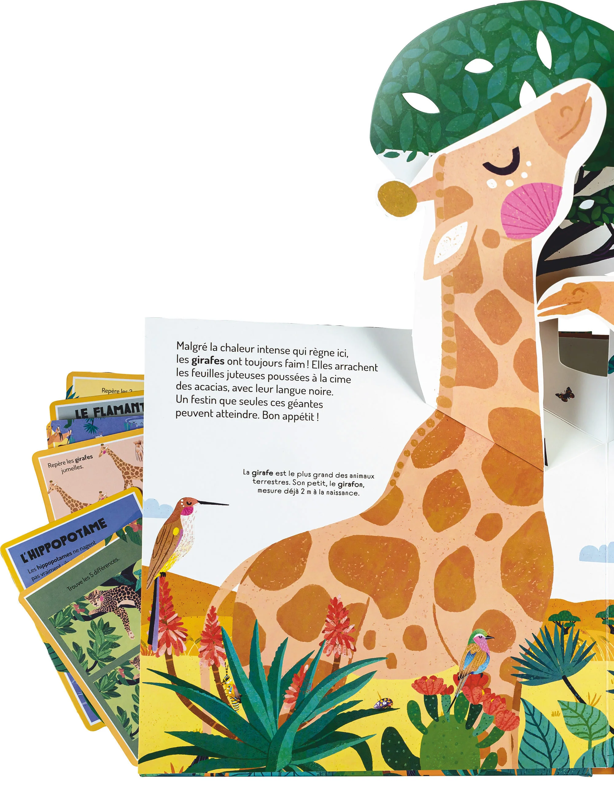 À la découverte de la savane - Un livre pop-up - Image 3