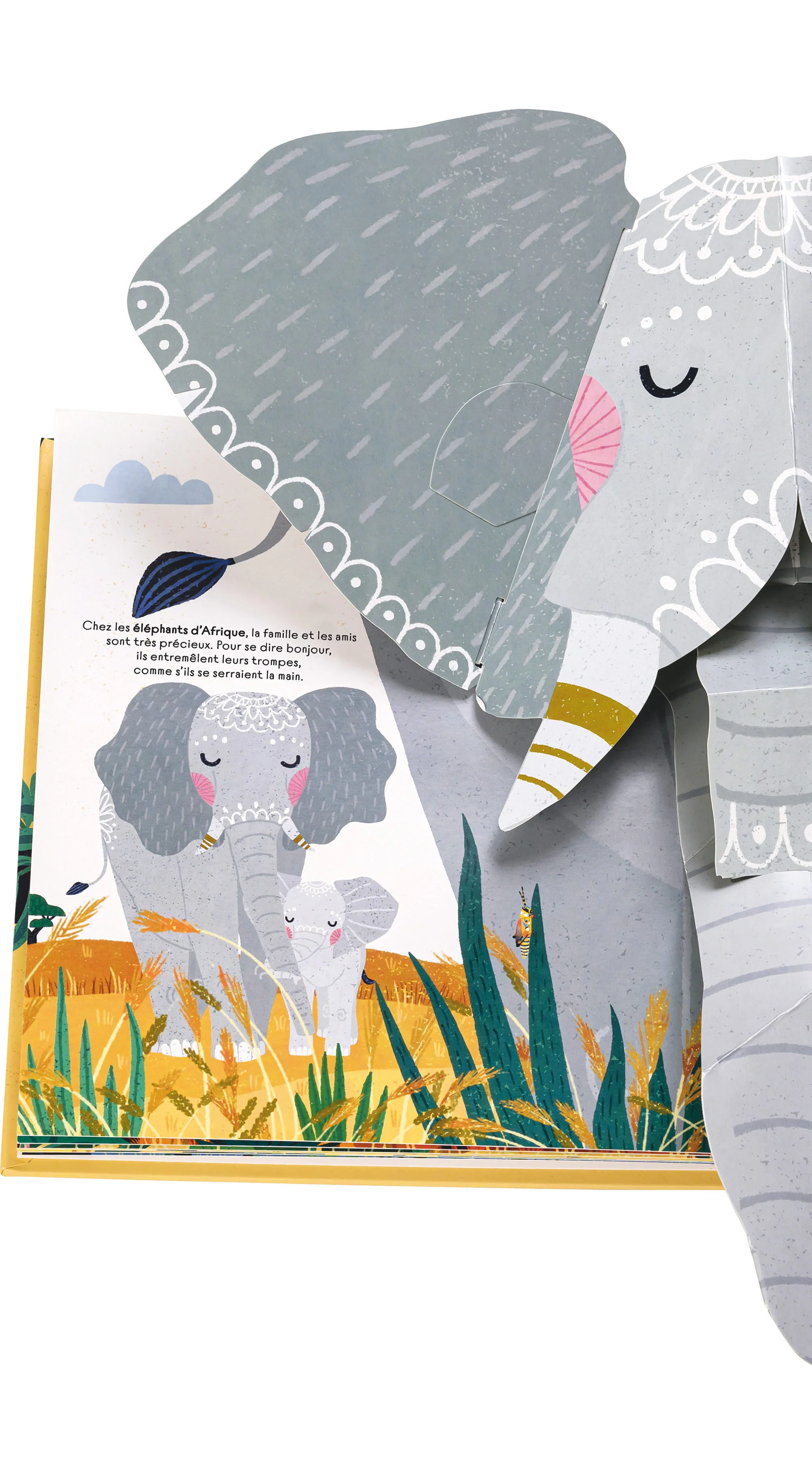 À la découverte de la savane - Un livre pop-up - Image 5