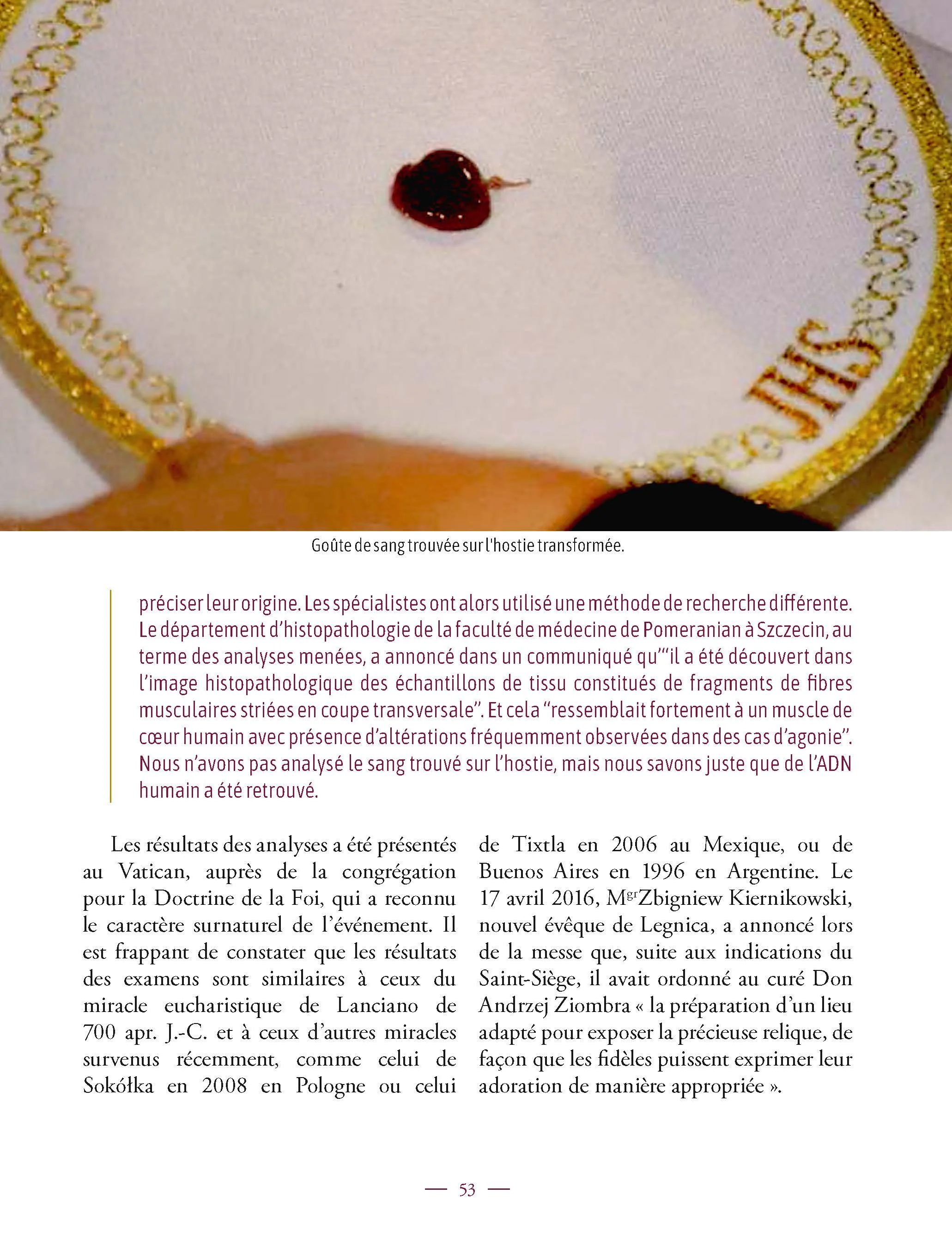 Les miracles eucharistiques dans le monde - Image 6