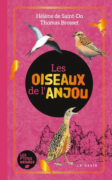LES OISEAUX DE L'ANJOU - Image 2