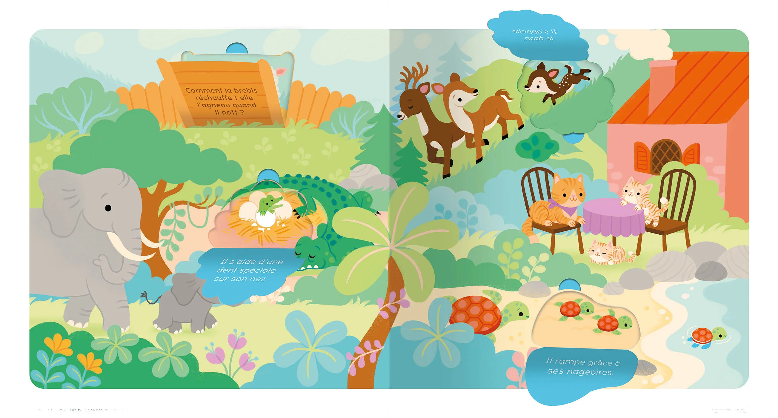 P'tit touche à tout - les bébés animaux - Image 3