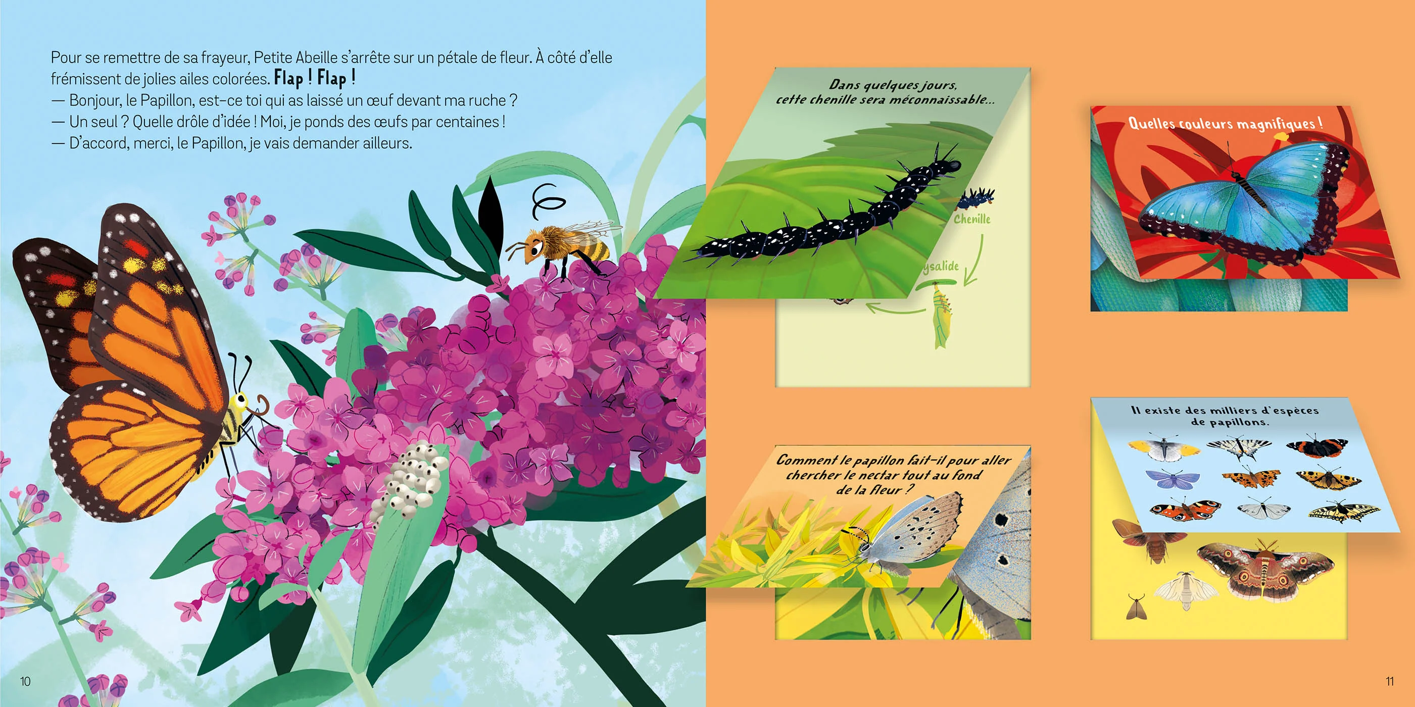 Les animaux du jardin - Image 3