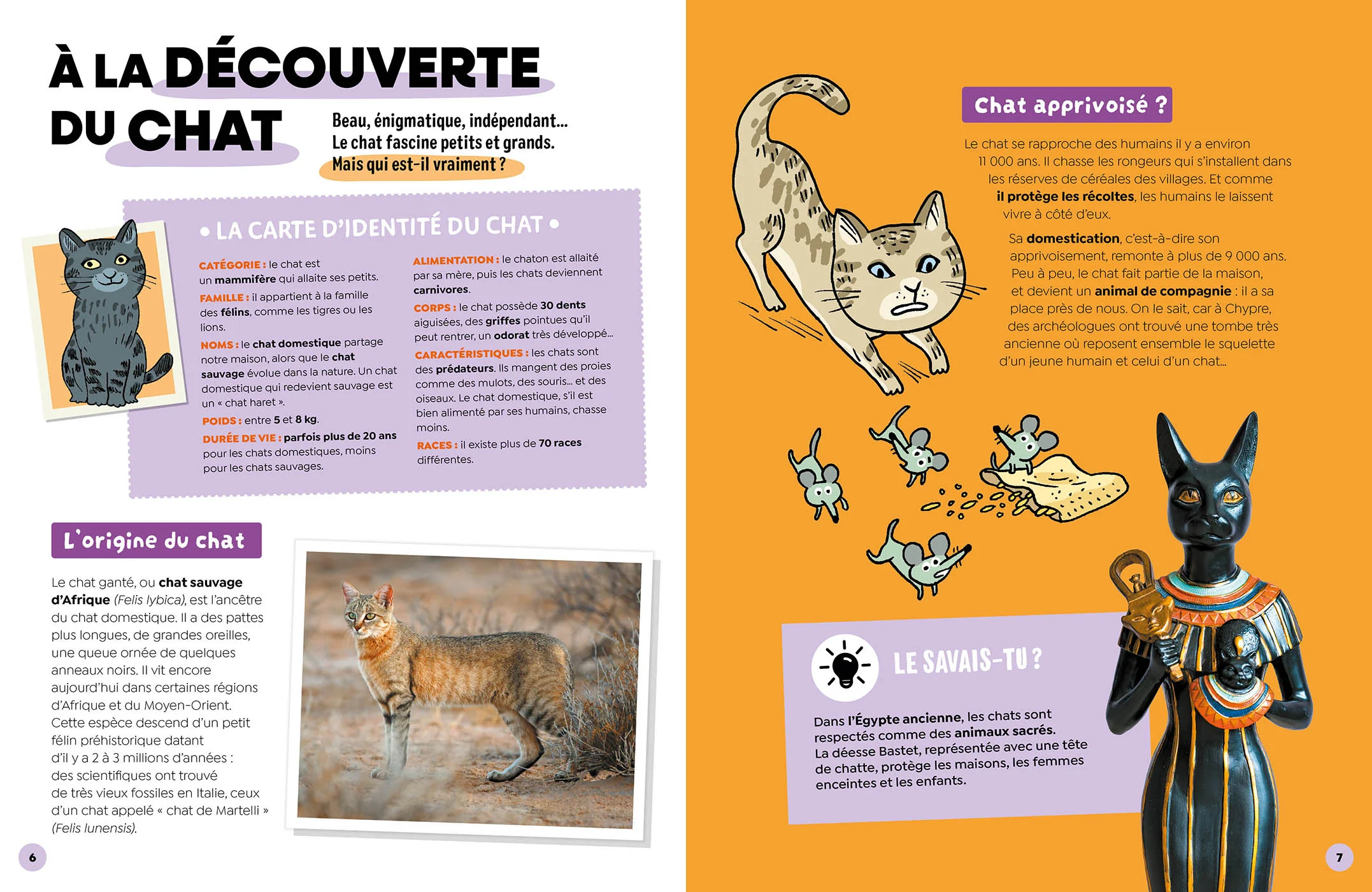Les chats - Image 2