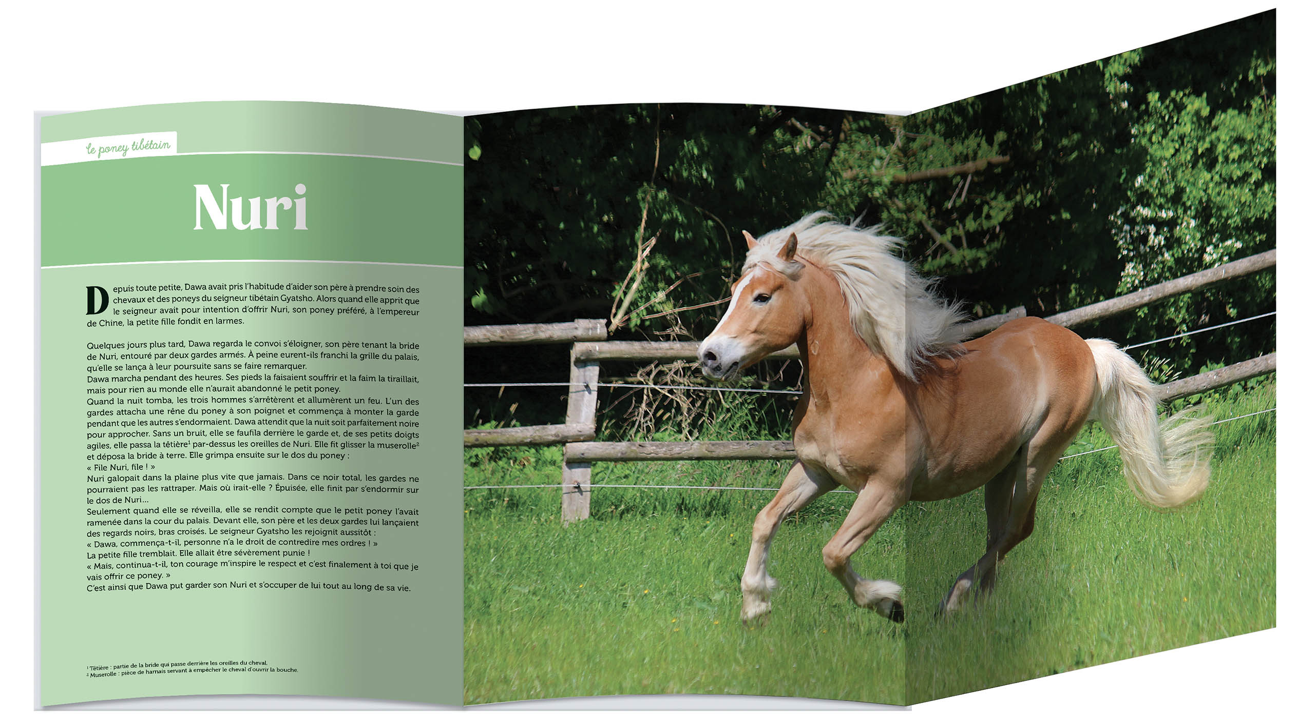 Mes plus belles histoires de poneys - Image 2