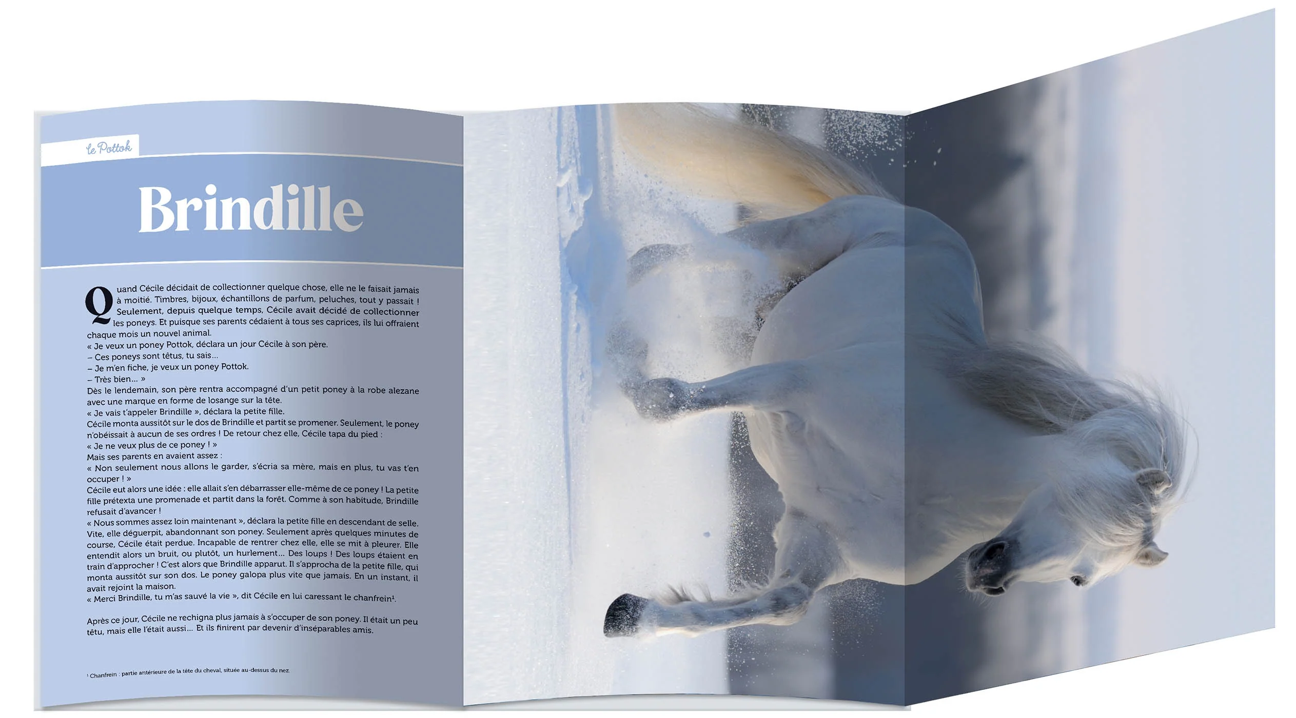 Mes plus belles histoires de poneys - Image 3