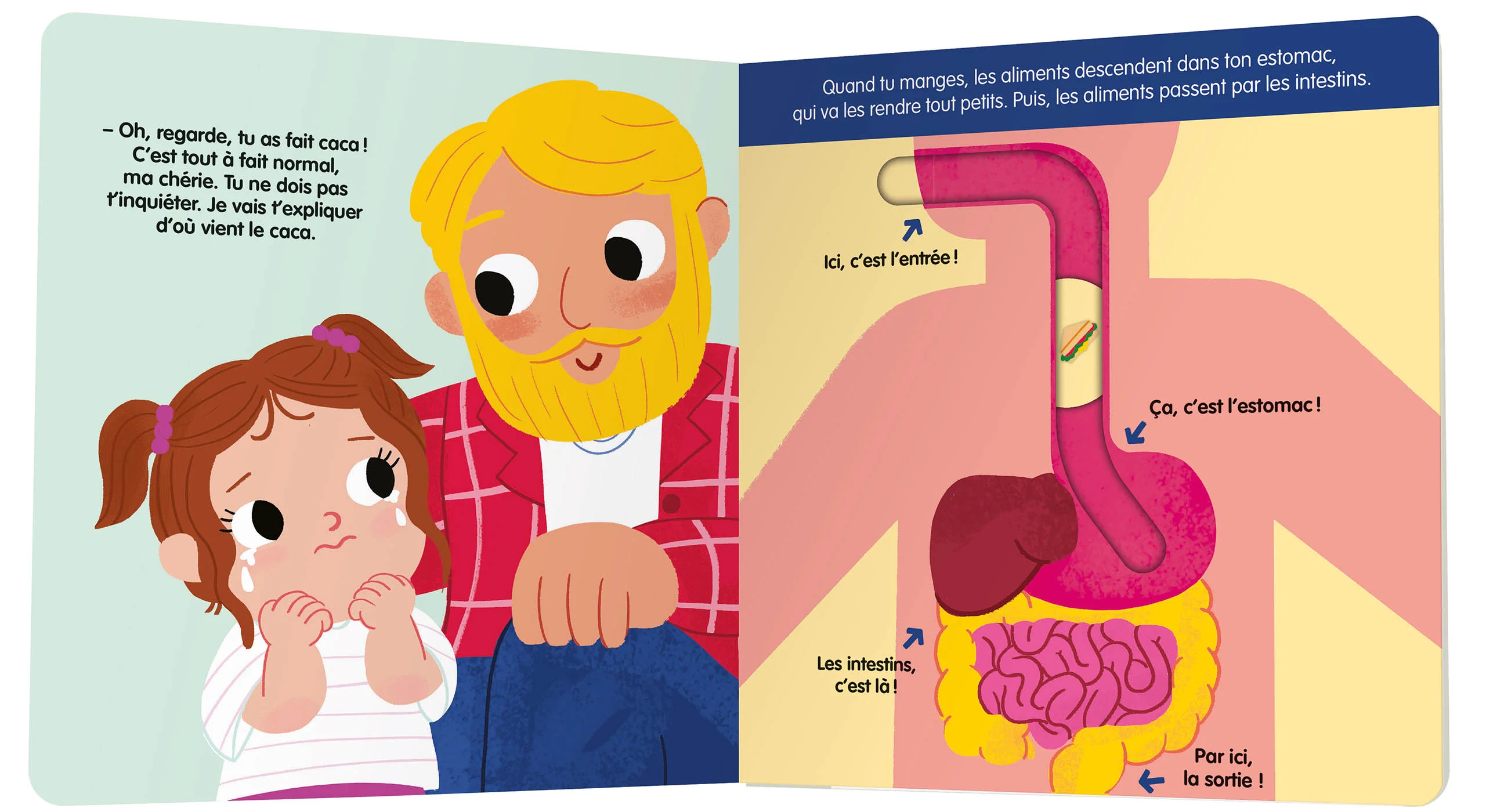 Le caca, ça vient d'où ? - Image 3