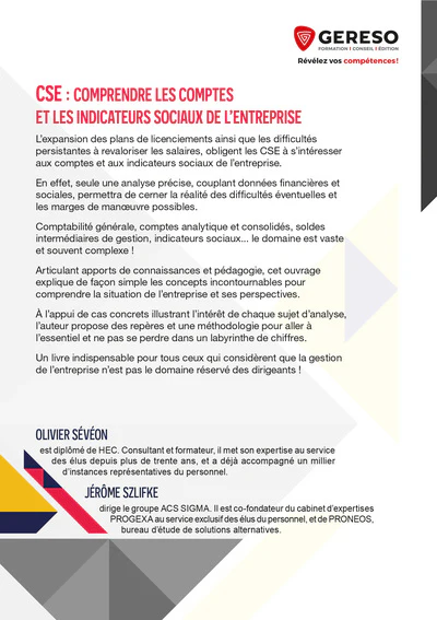 CSE : comprendre les comptes et les indicateurs sociaux de l'entreprise - Image 2