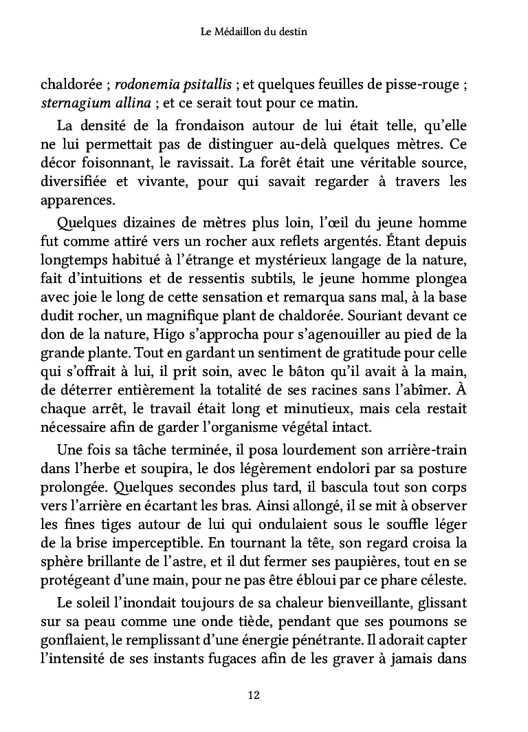 Le Médaillon du destin - Image 20