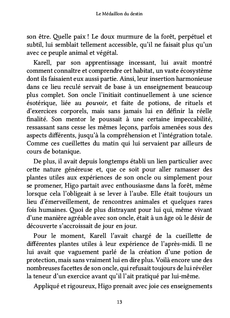 Le Médaillon du destin - Image 21