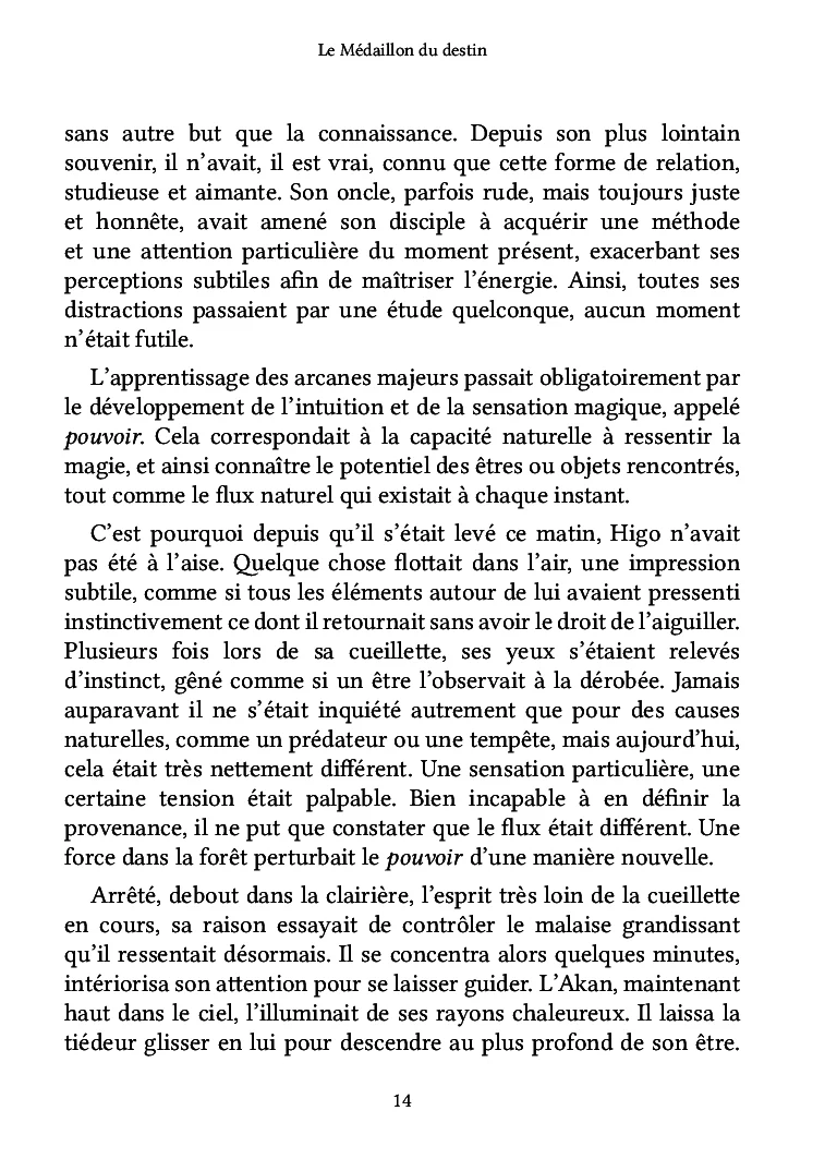 Le Médaillon du destin - Image 22