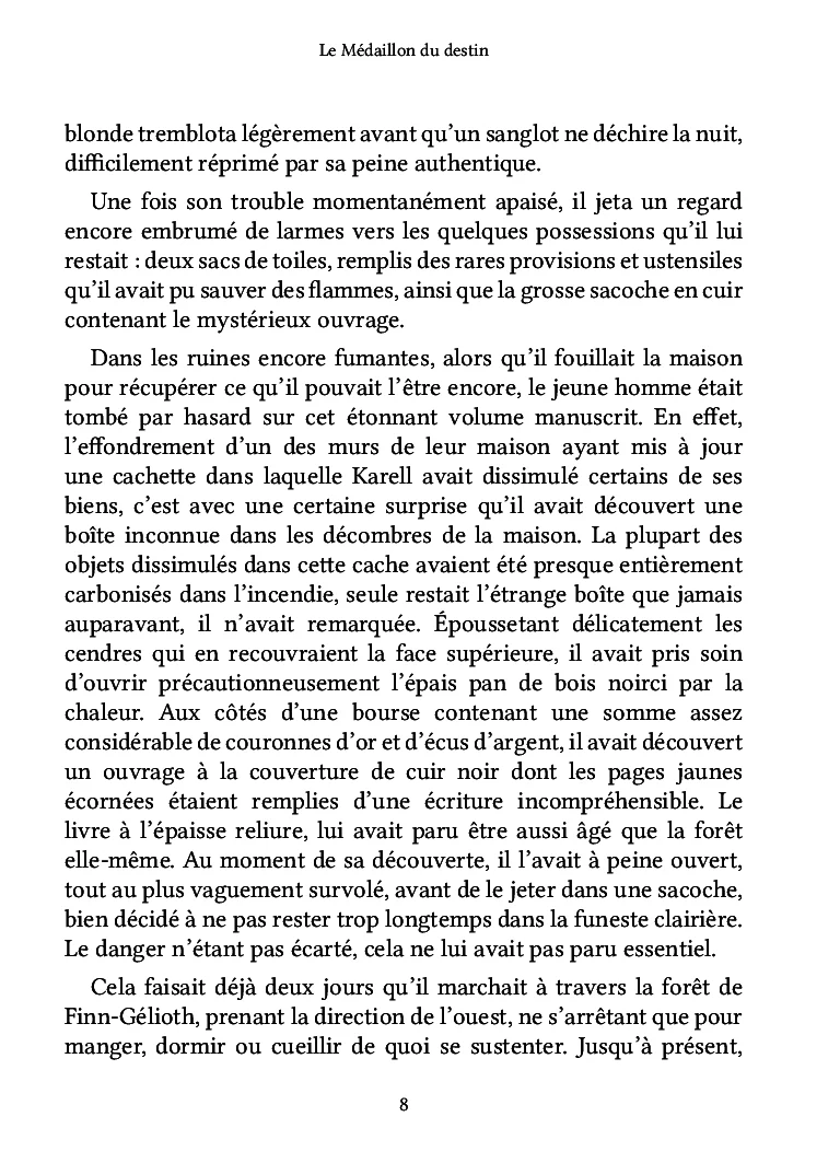 Le Médaillon du destin - Image 5