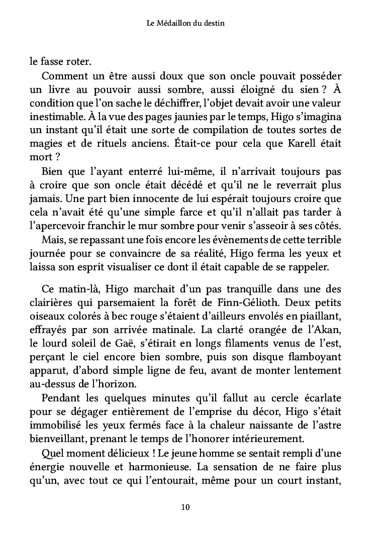 Le Médaillon du destin - Image 7