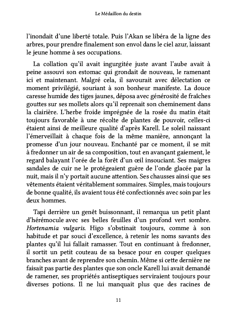Le Médaillon du destin - Image 8