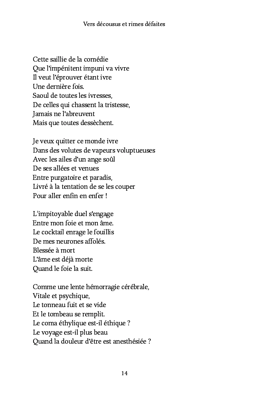 Vers décousus et rimes défaites - Image 8
