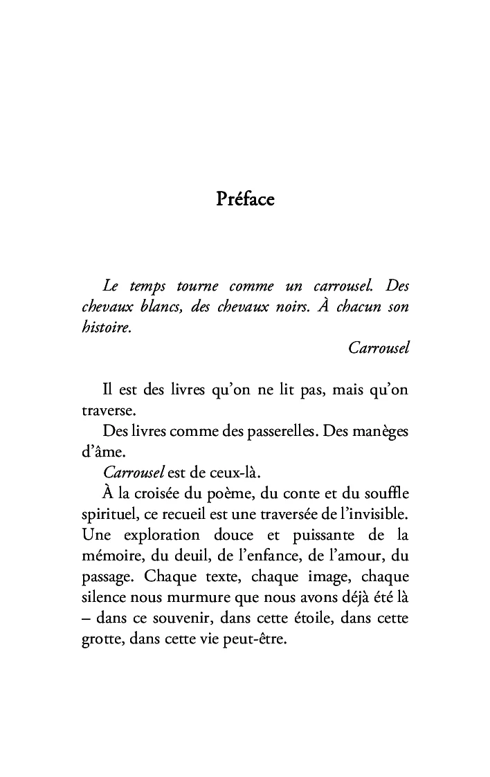 Carrousel - Image 5