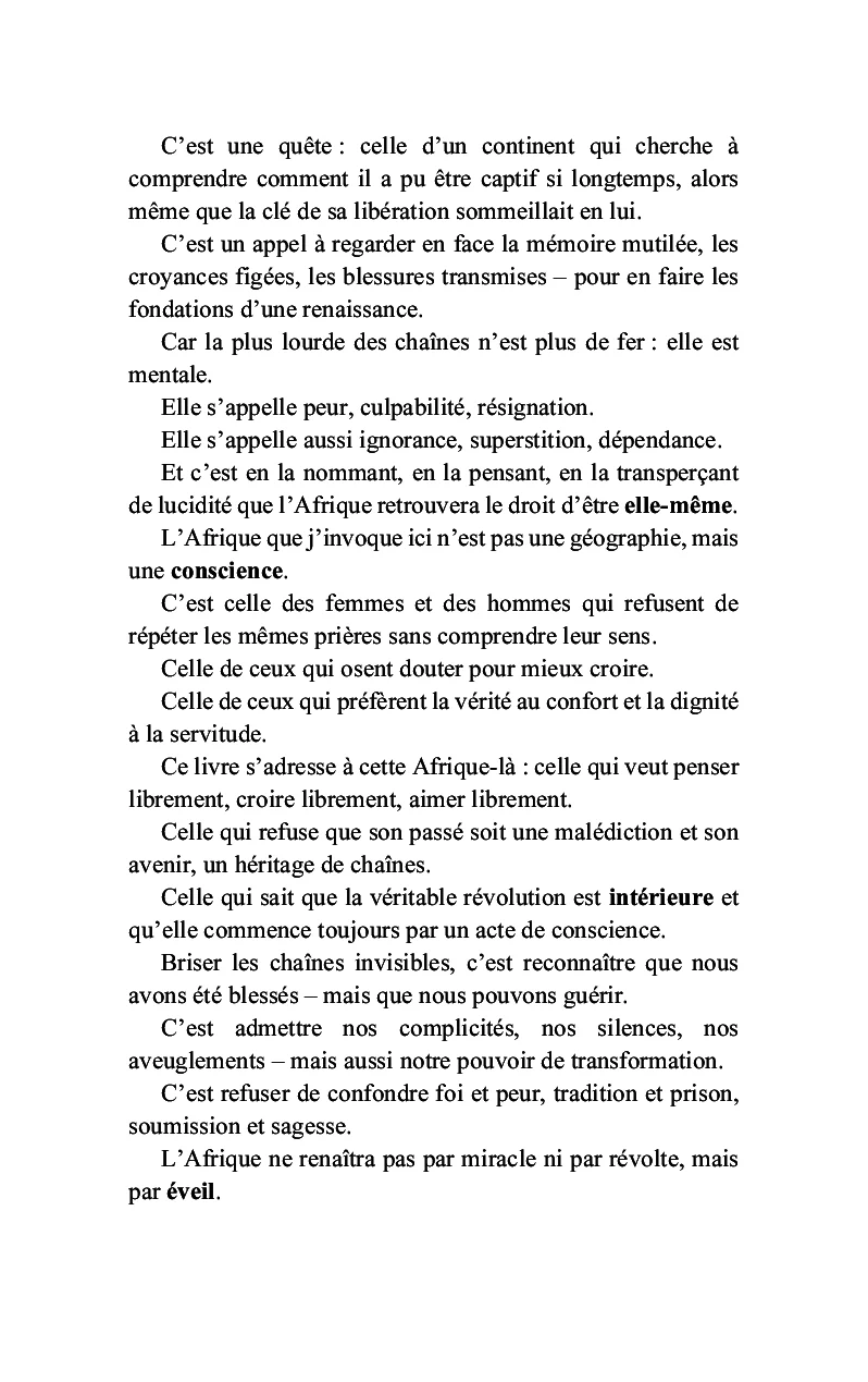 L'Afrique trahie par les siens - Image 11