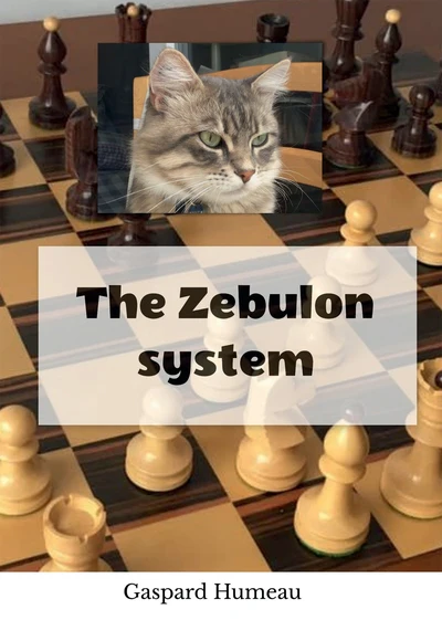 The Zebulon system - Image 2
