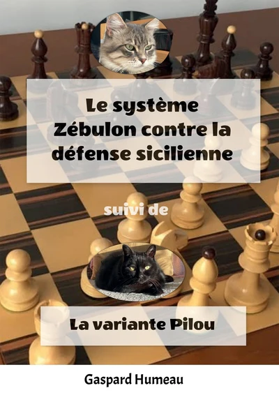 Le système Zébulon contre la défense Sicilienne - Image 2