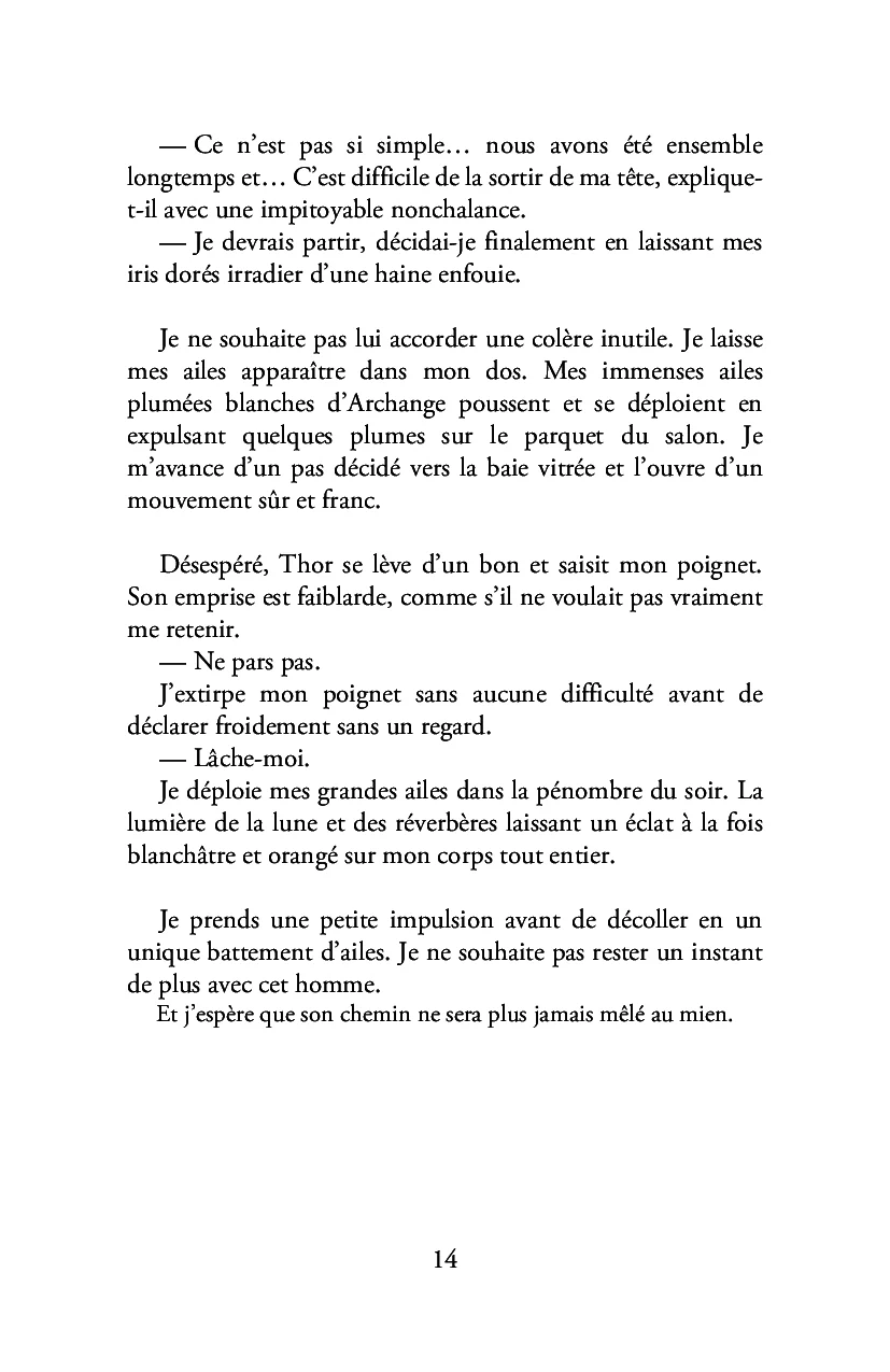 Saga prophétie: Tome I : L'enfant des sables et le Dieu Chacal - Image 10