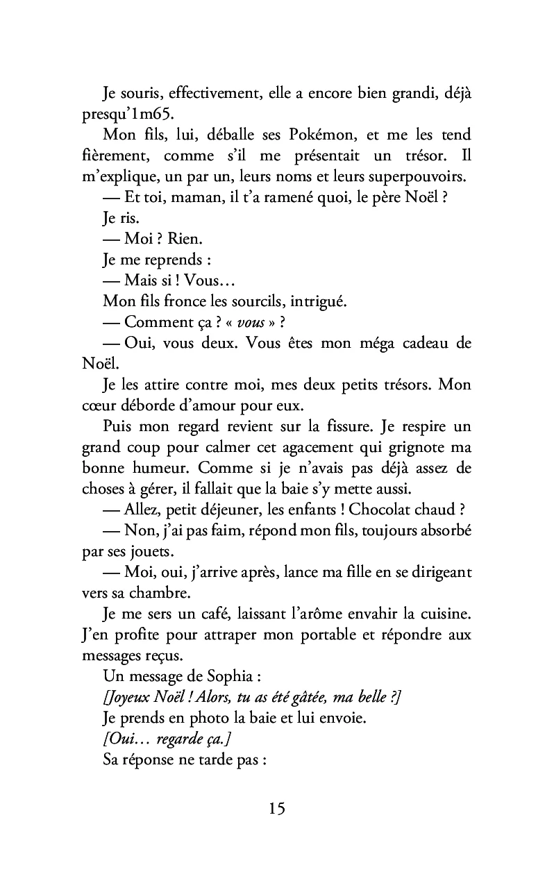 La baie vitrée - Image 11