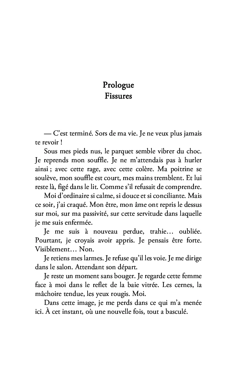 La baie vitrée - Image 3