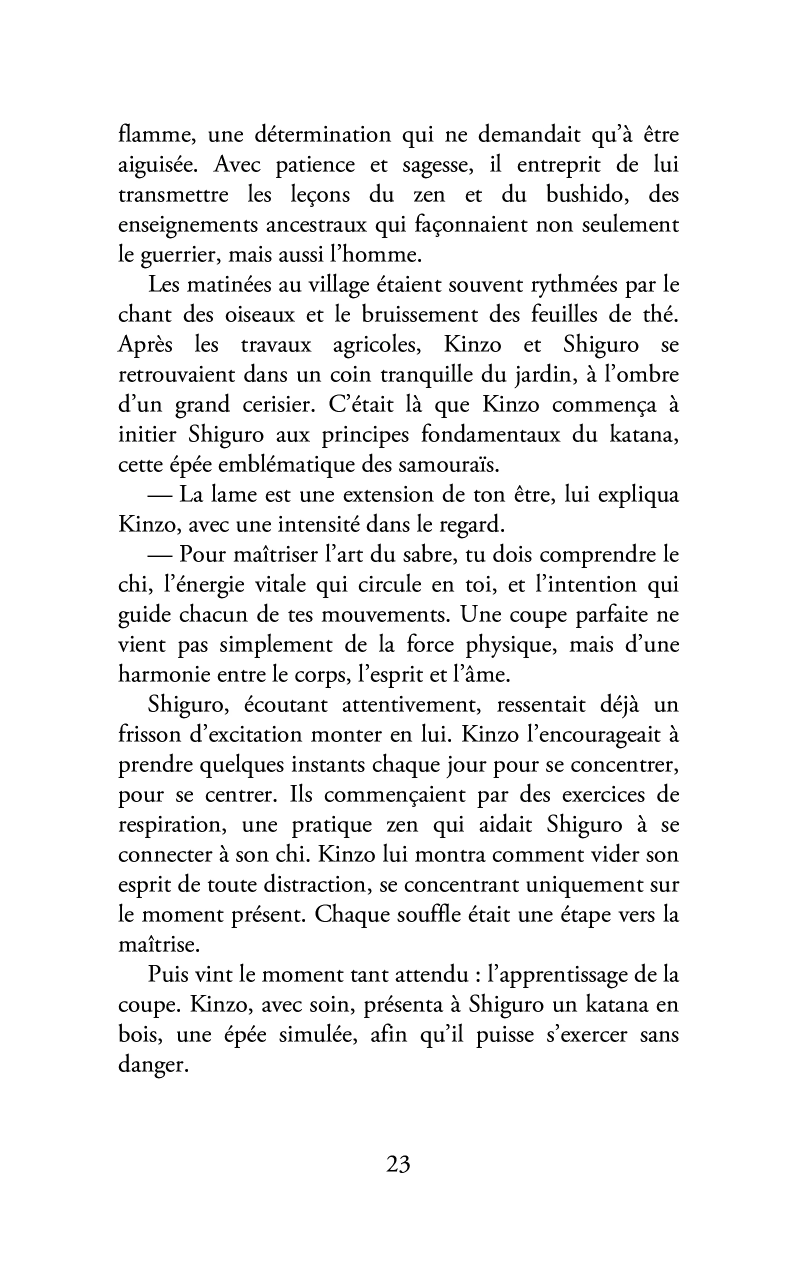 L'Alliance de la Lumière et du Dragon - Image 14