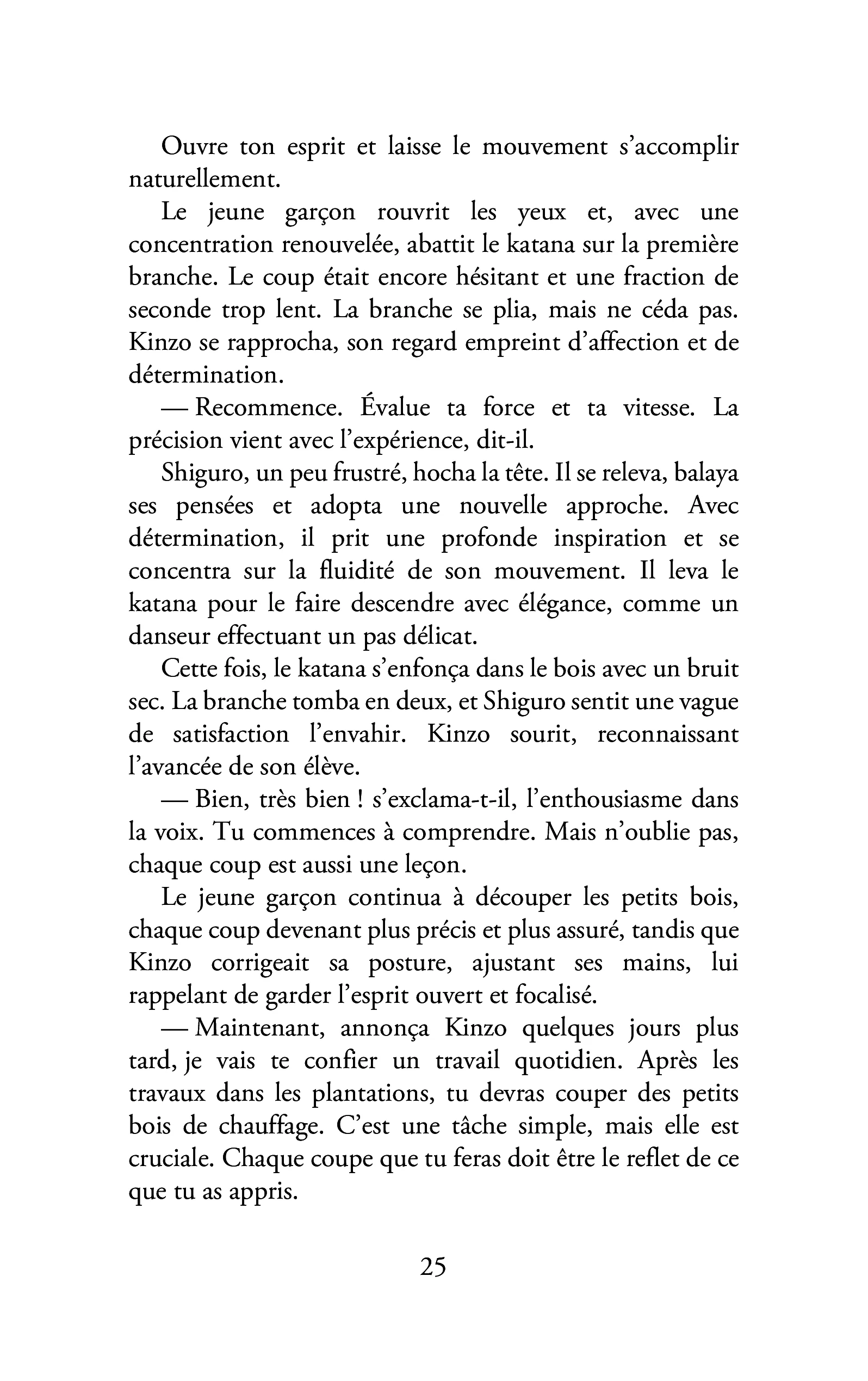 L'Alliance de la Lumière et du Dragon - Image 16