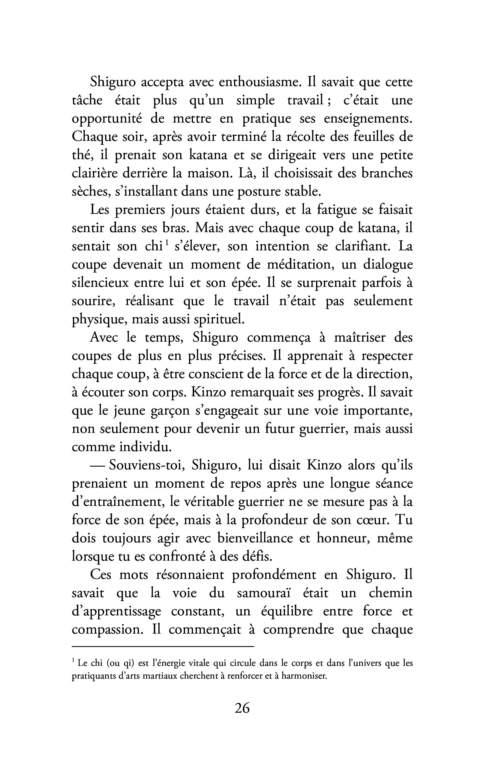 L'Alliance de la Lumière et du Dragon - Image 17