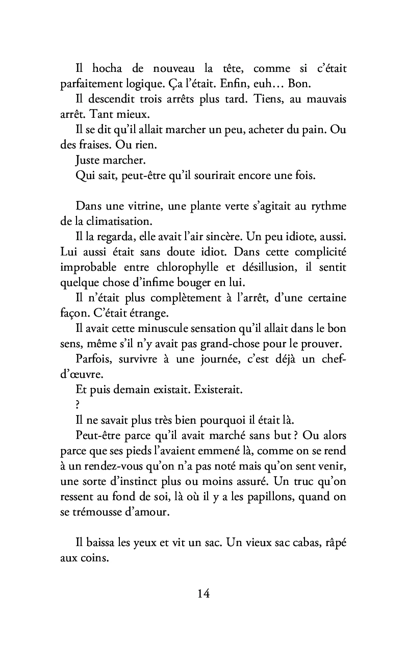 La chignole parme - Image 10
