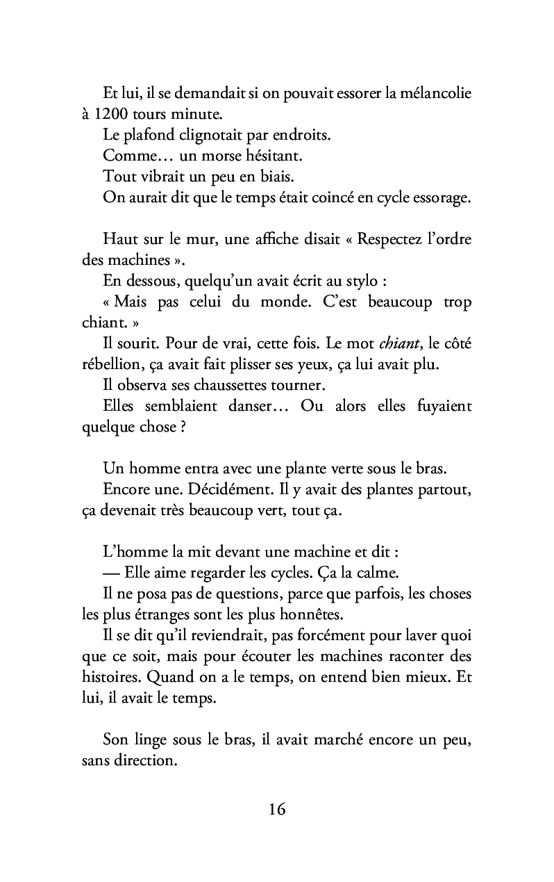 La chignole parme - Image 12