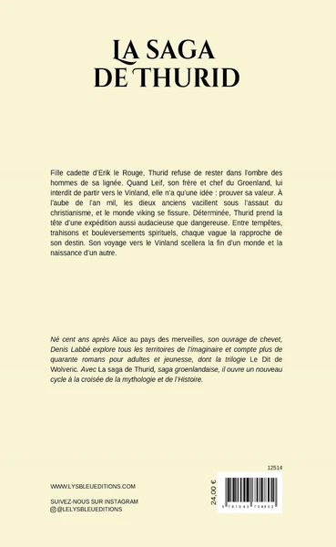 La saga de Thurid - Image 4