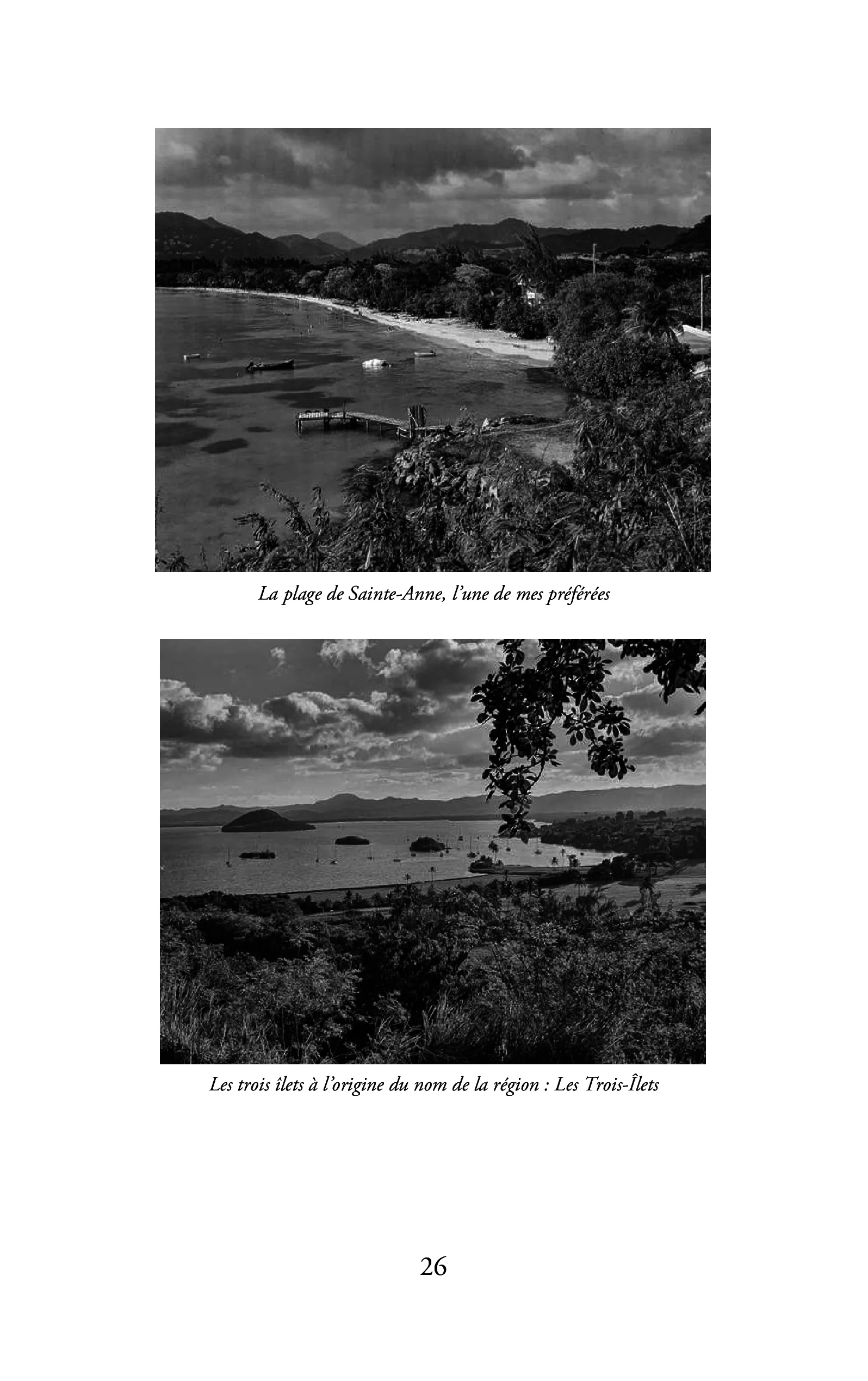 Art, carnaval et amour - Image 22