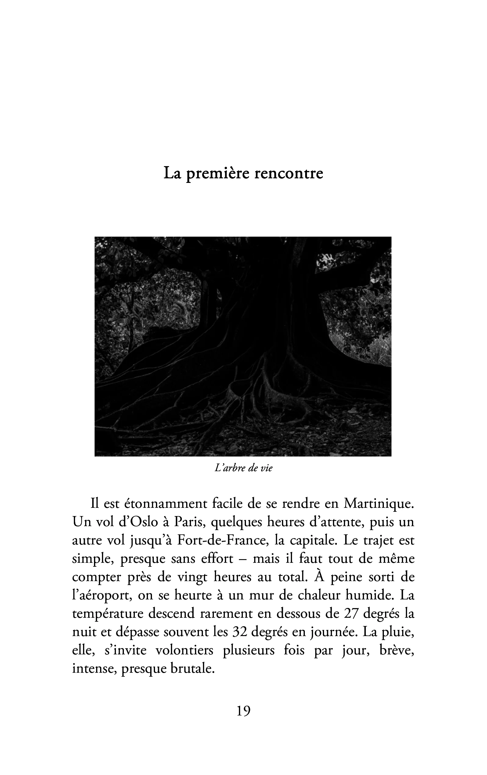 Art, carnaval et amour - Image 42