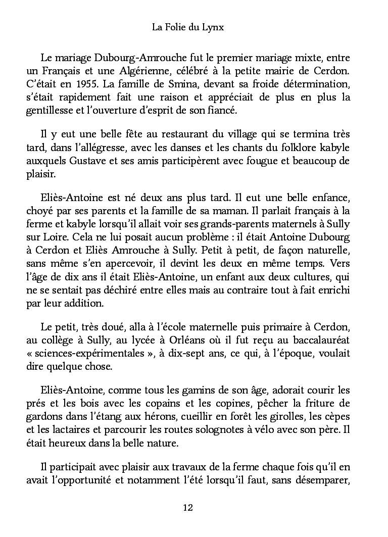 La Folie du Lynx - Image 9