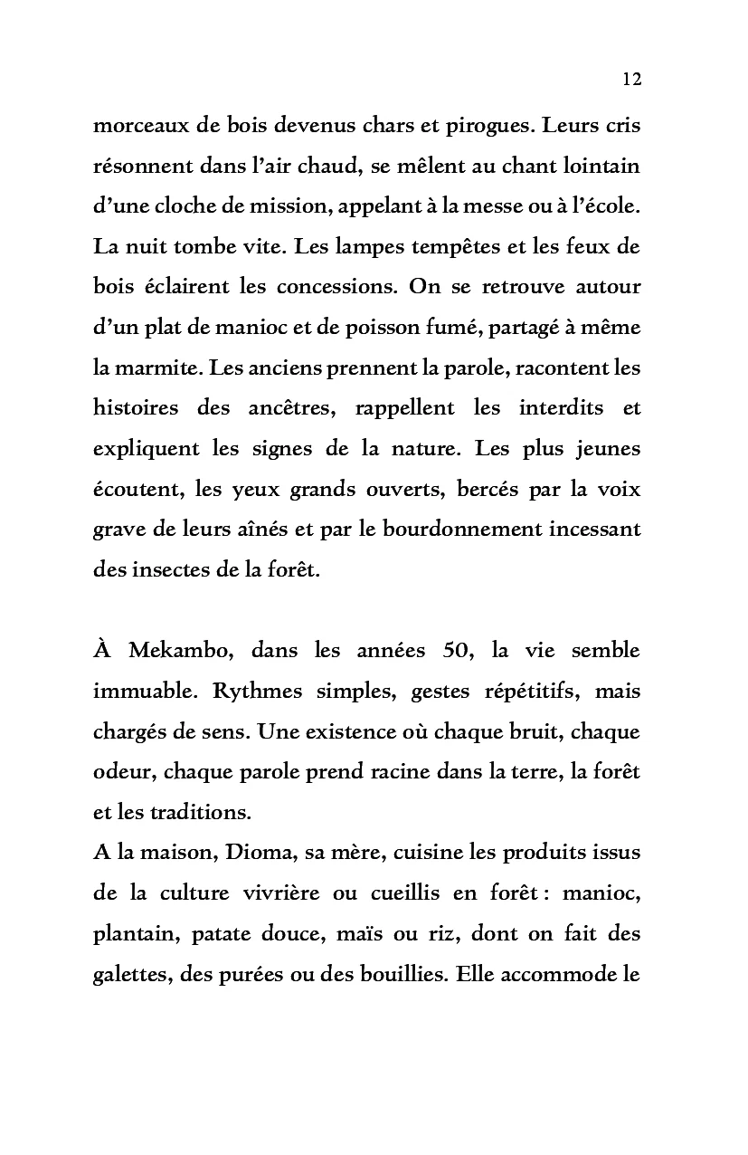 La Longue Saison des pluies - Image 9