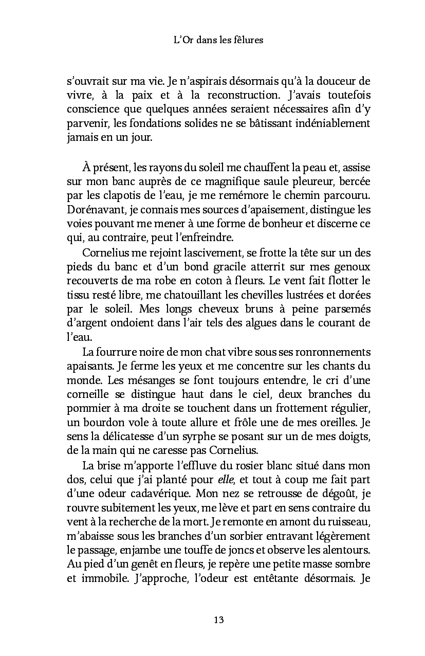 L'Or dans les fêlures - Image 10
