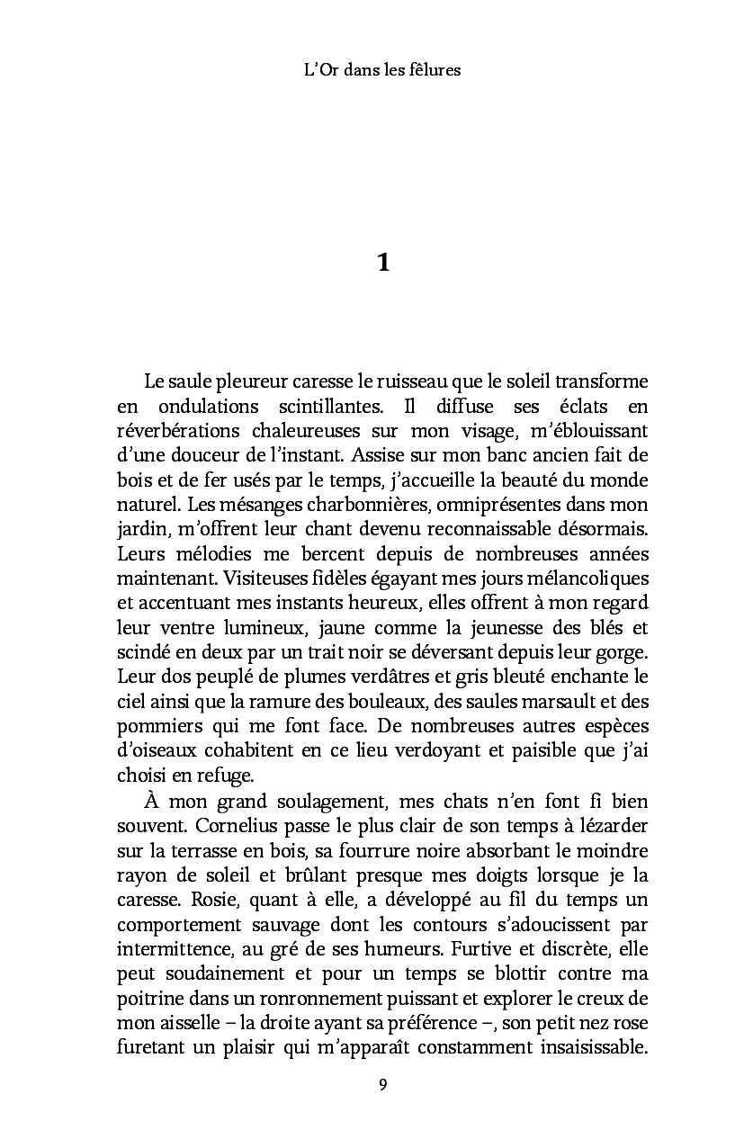 L'Or dans les fêlures - Image 17