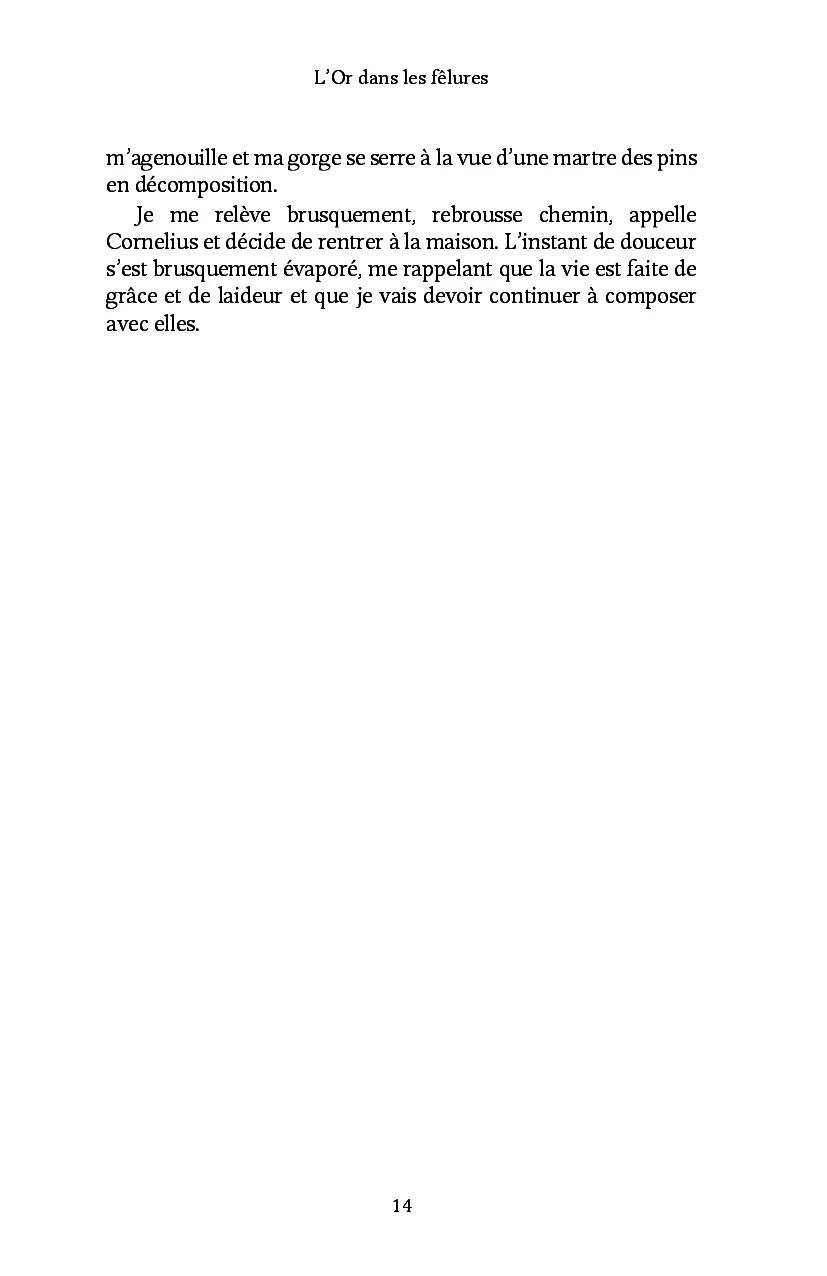 L'Or dans les fêlures - Image 22