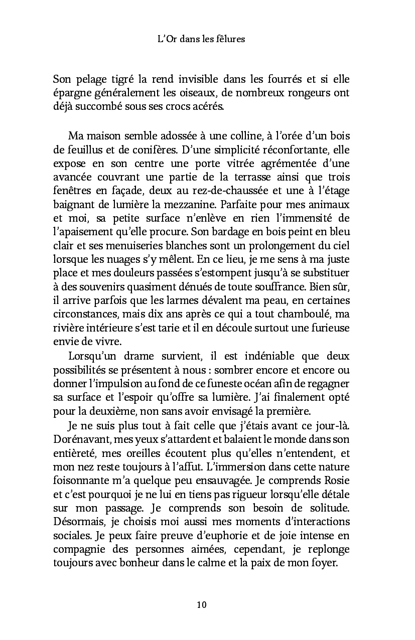 L'Or dans les fêlures - Image 7